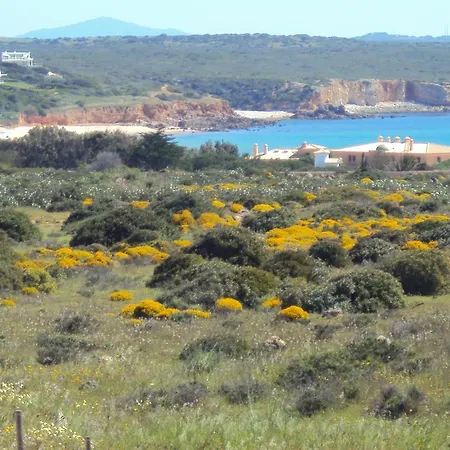 Casa Grilo ساغريش