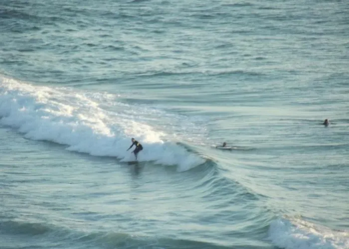 Casa Grilo 게스트하우스